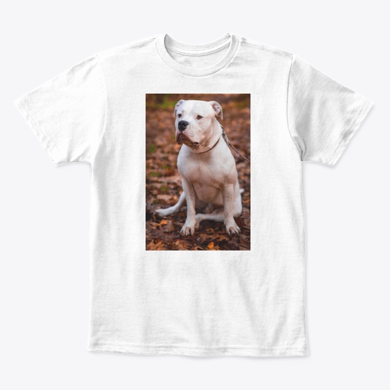 Dog's 🐕