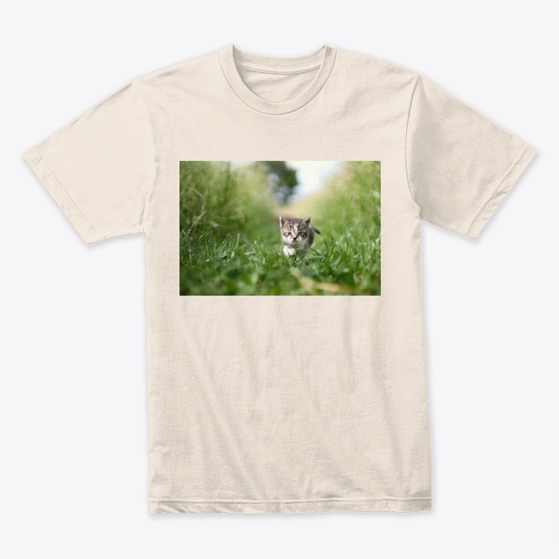 Running Baby Cat(Animal, Pet)GreenGrass