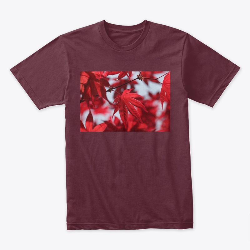 Red Maple Leaf In The Autumn