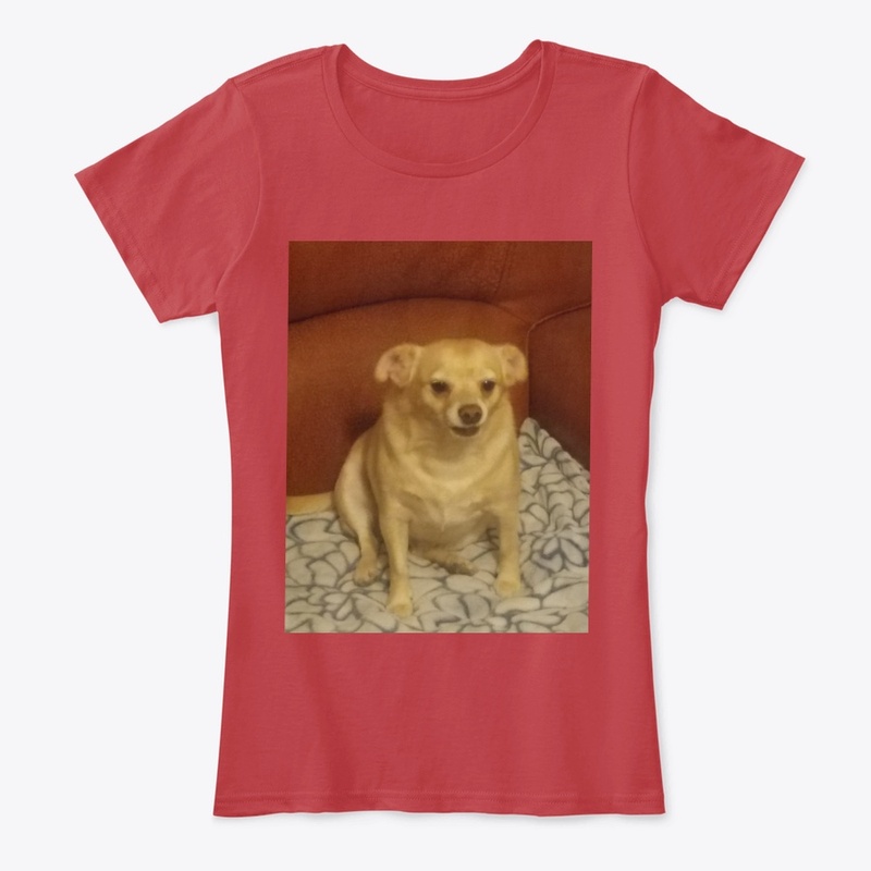 Angry Chihuahua