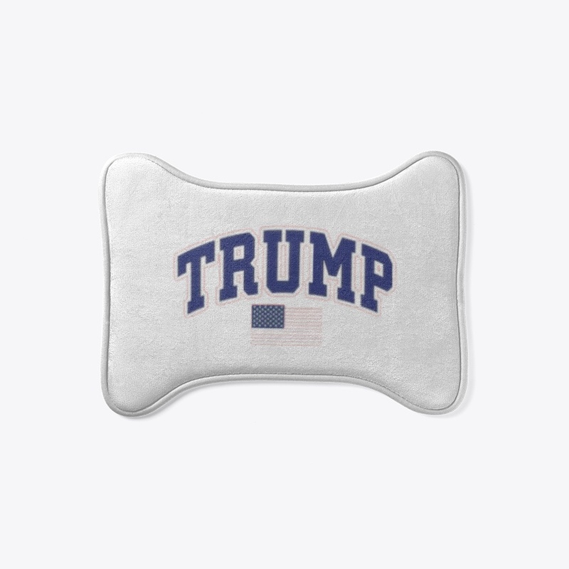 Trump and Flag