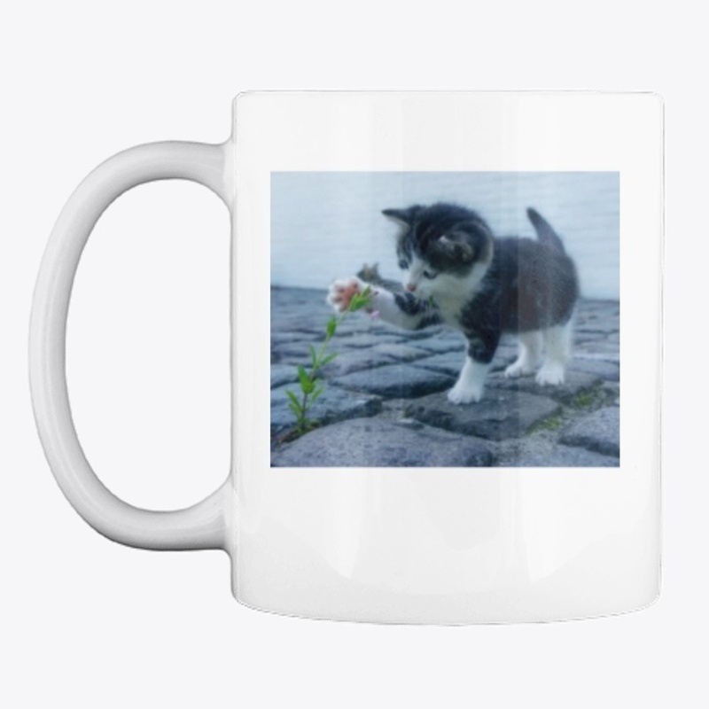 Funny Cat