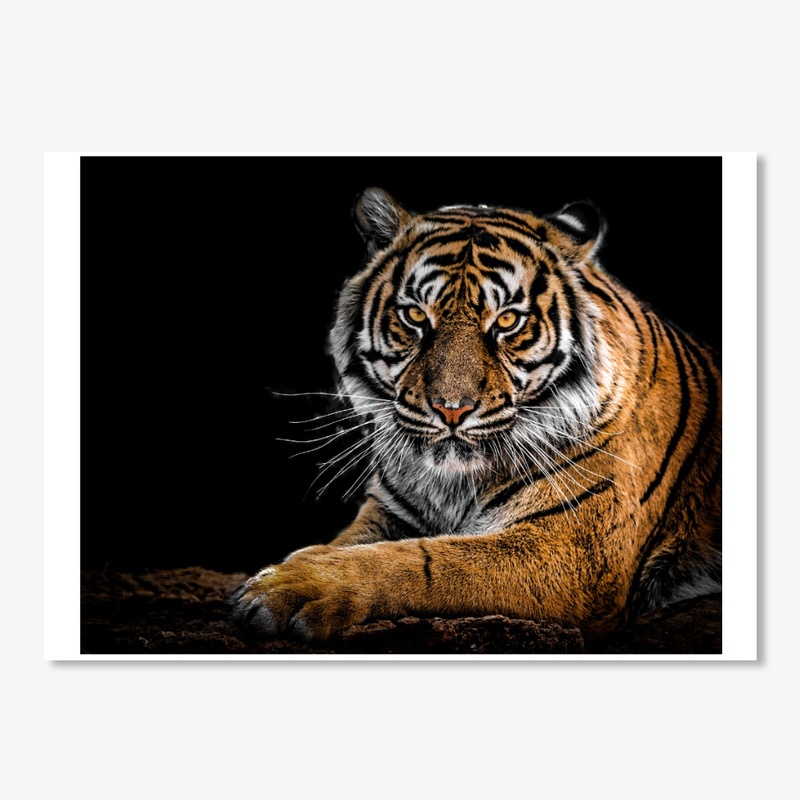 sticker for lovely animal