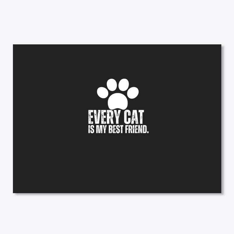 Every cat is my best friend.