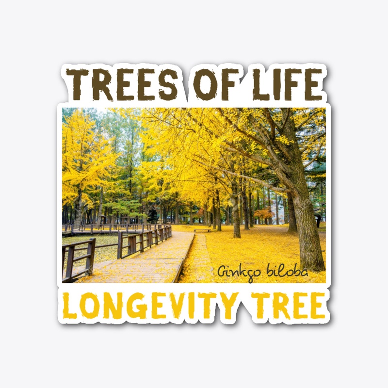 TREES of LIFE: GINKGO/LONGEVITY TREE