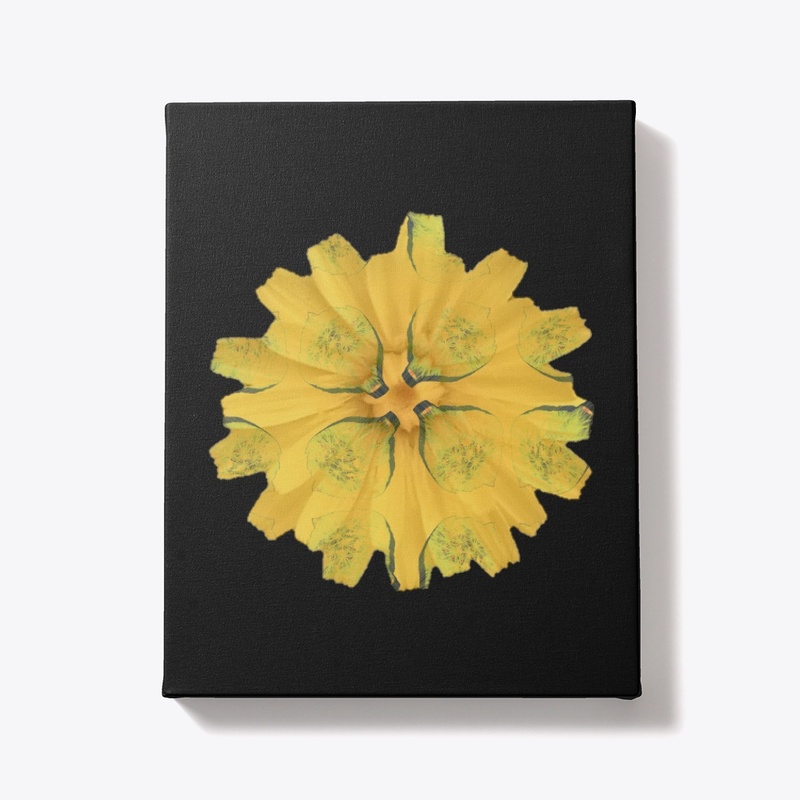 Yellow rose