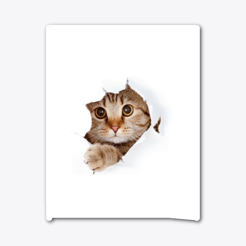 unique gift for cat lover