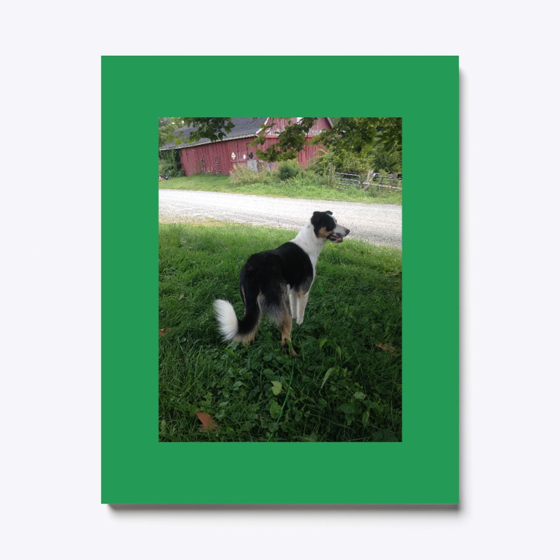 The working dog