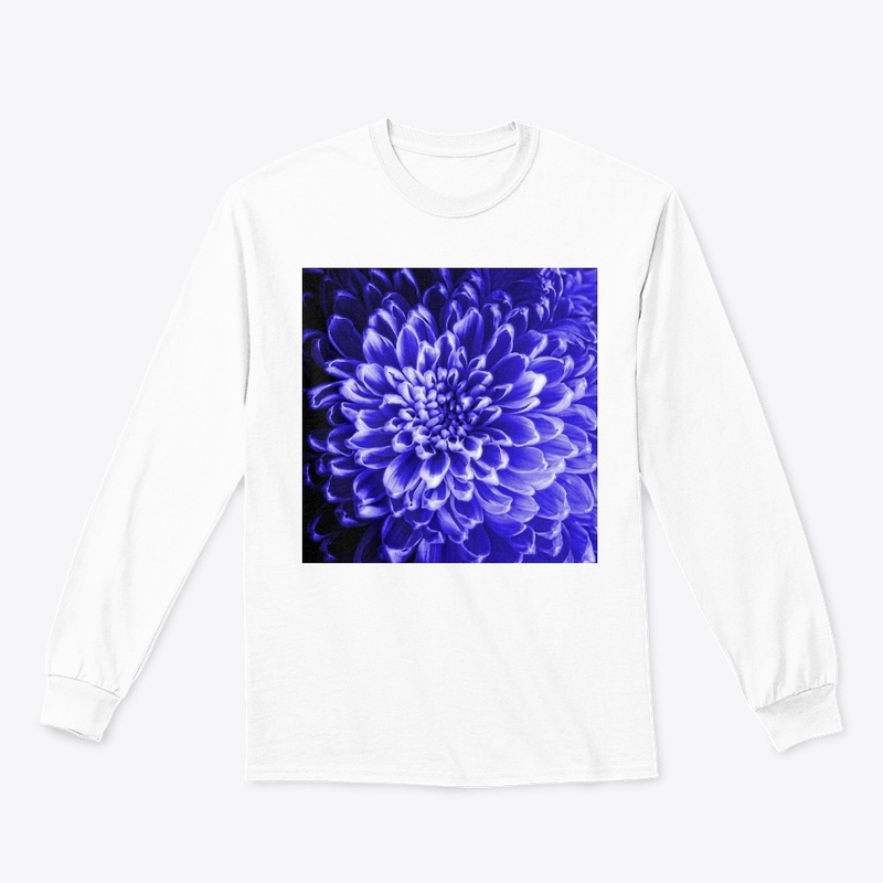 Blue Chrysanthemum