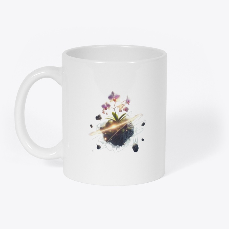 First Orchid Series