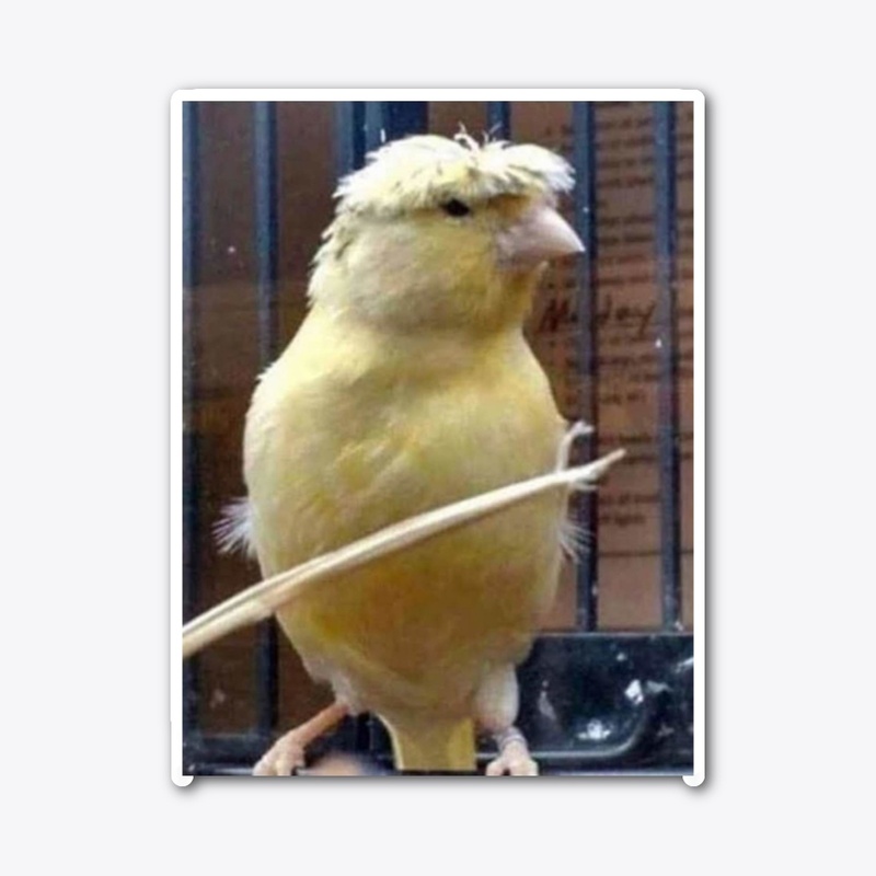 Birb w/ nice hair