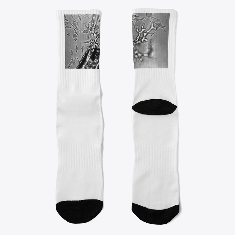 Cell Cultures since 1943 @