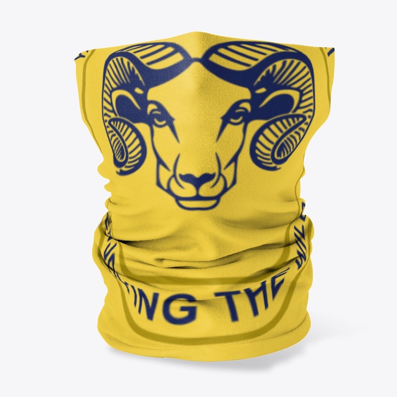 Face cover