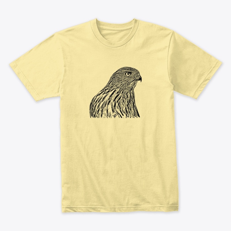 Cooper's Hawk Birdwatching