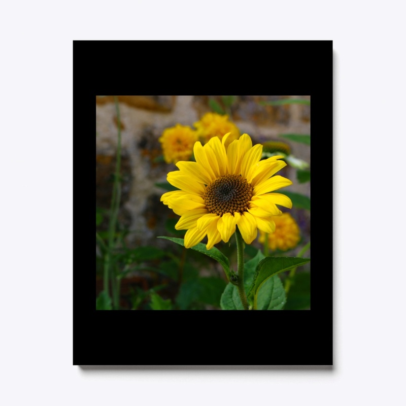 Yellow flower 