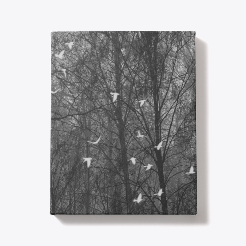 Veil of Trees