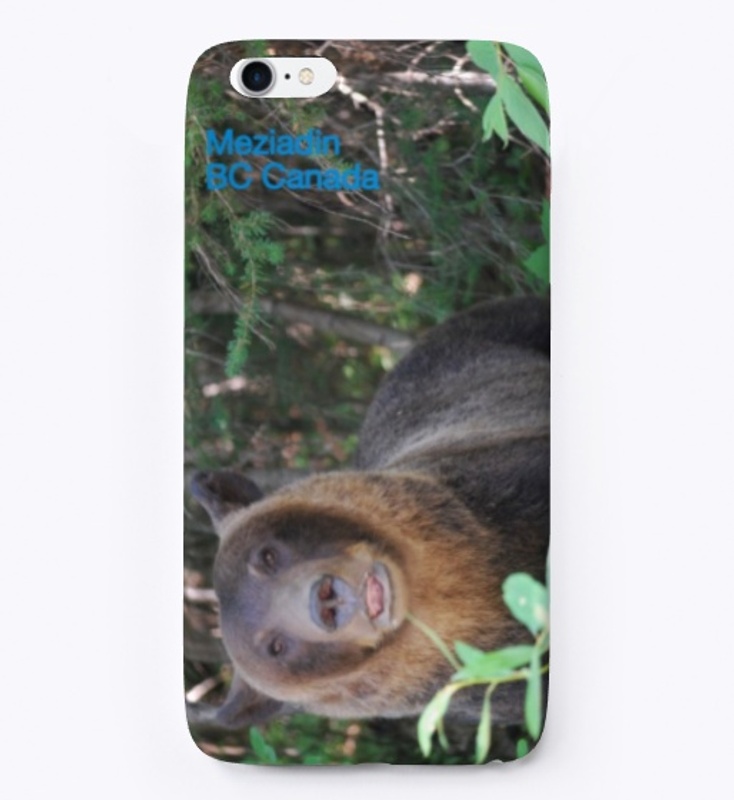 grizzly bear 
