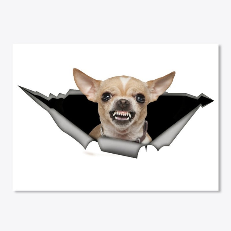 Growling Chihuahua decal