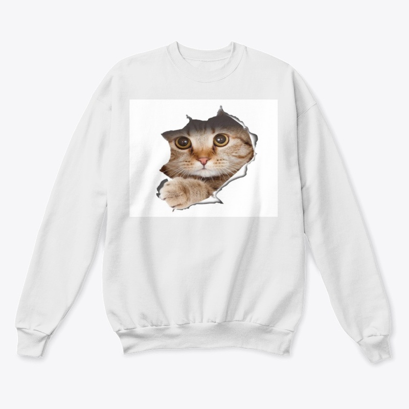 CAT IS COMING OUT