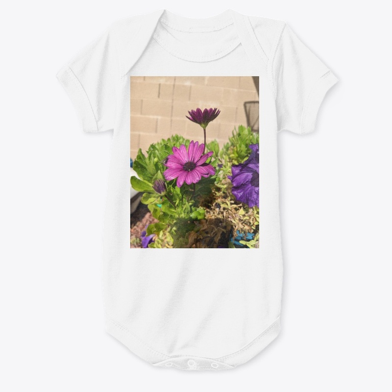 Purple daisy