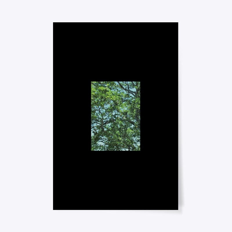 THE AERIAL TREE