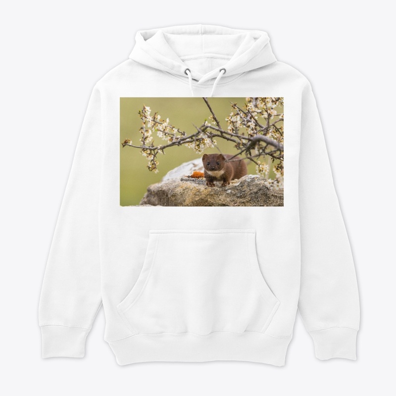 Least weasel
