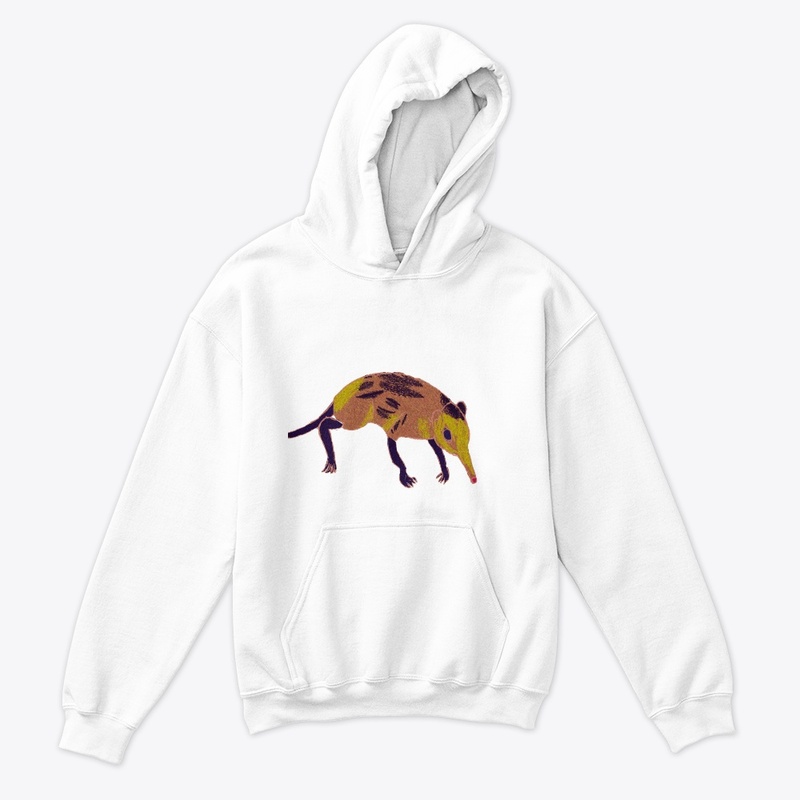 Golden Elephant shrew 