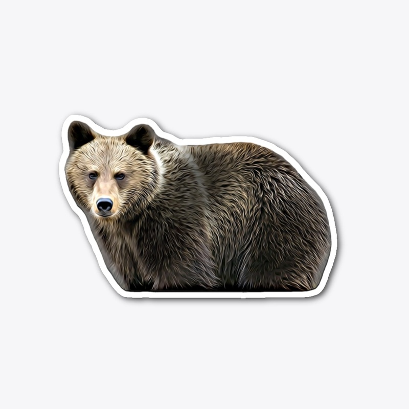 The Bear