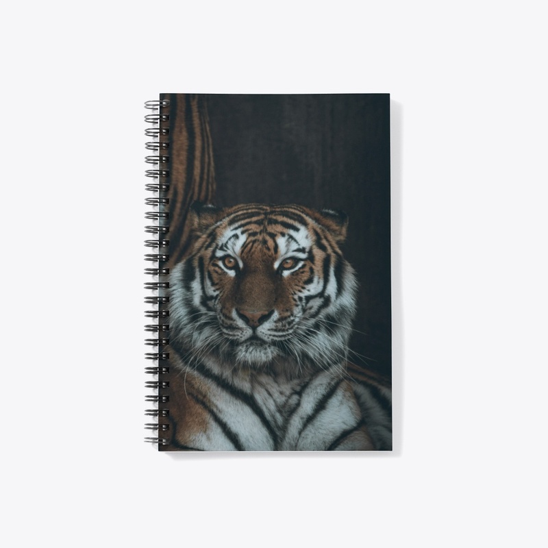 Big Cats