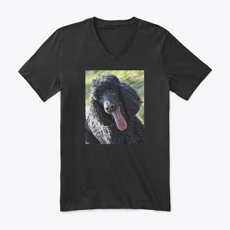 Poodle Merchandise