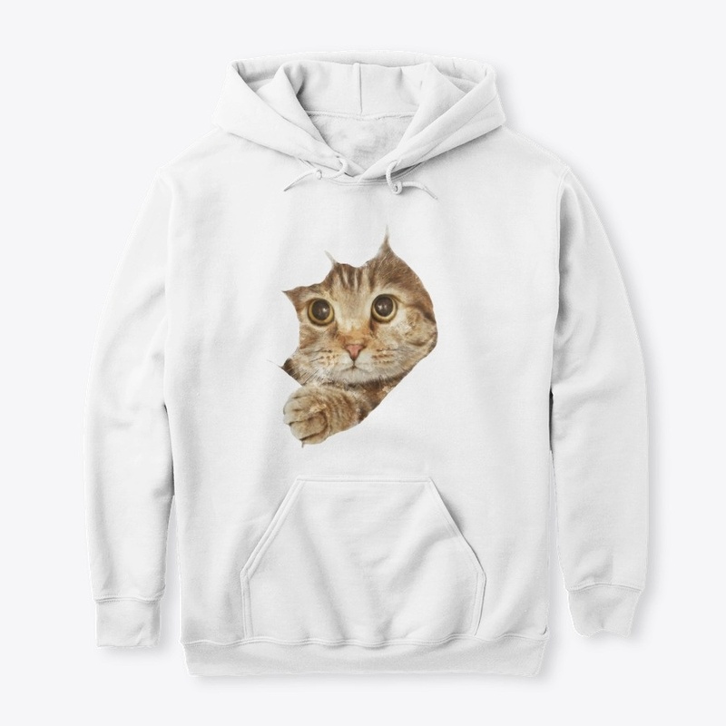 Hiding Cat