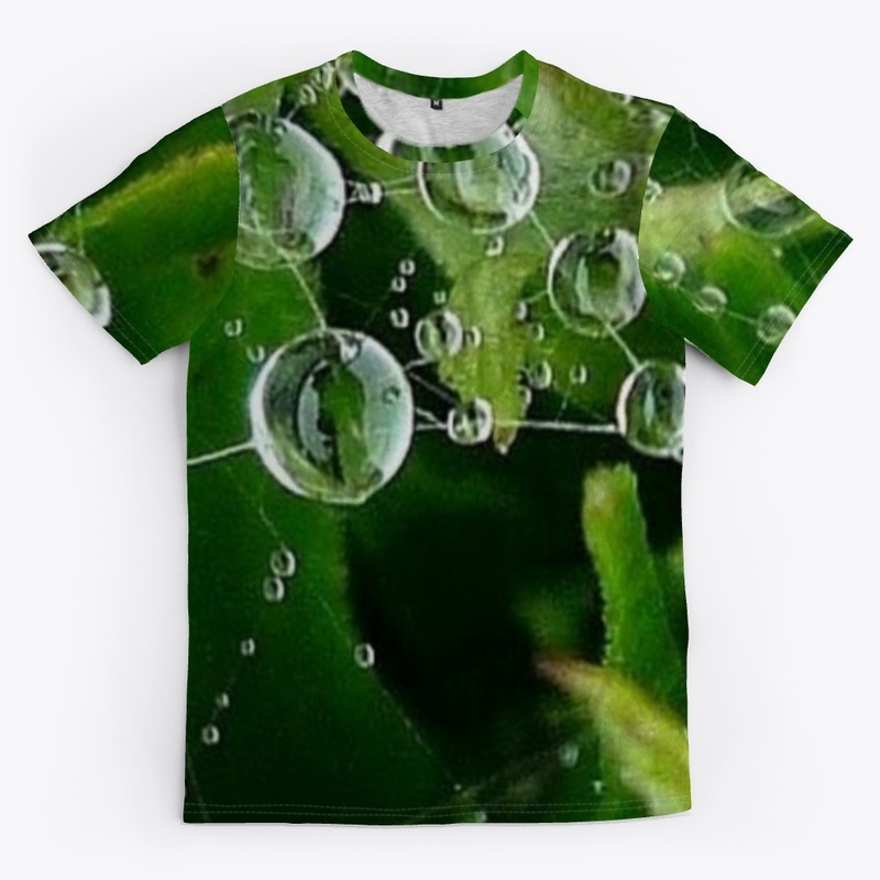 Rain Water Drops Ideas |  Spider Web