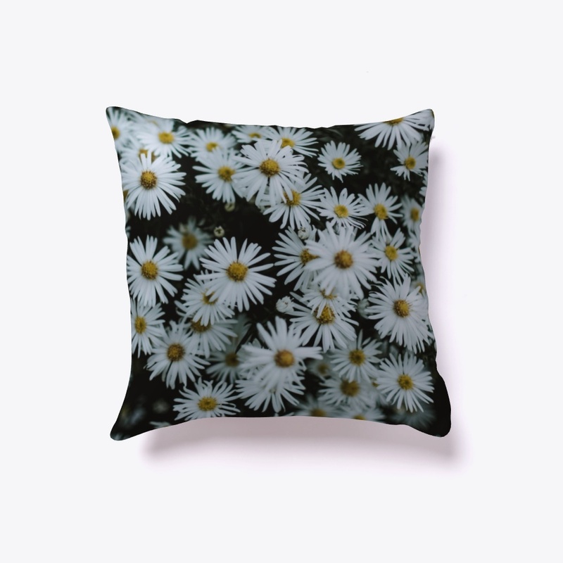 daisies