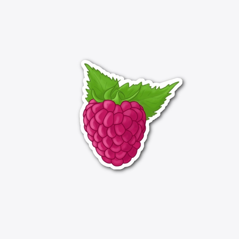 Raspberry Accessories