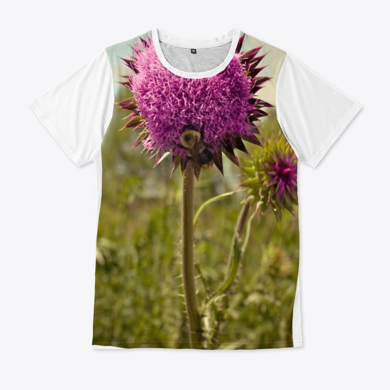 thistle 2