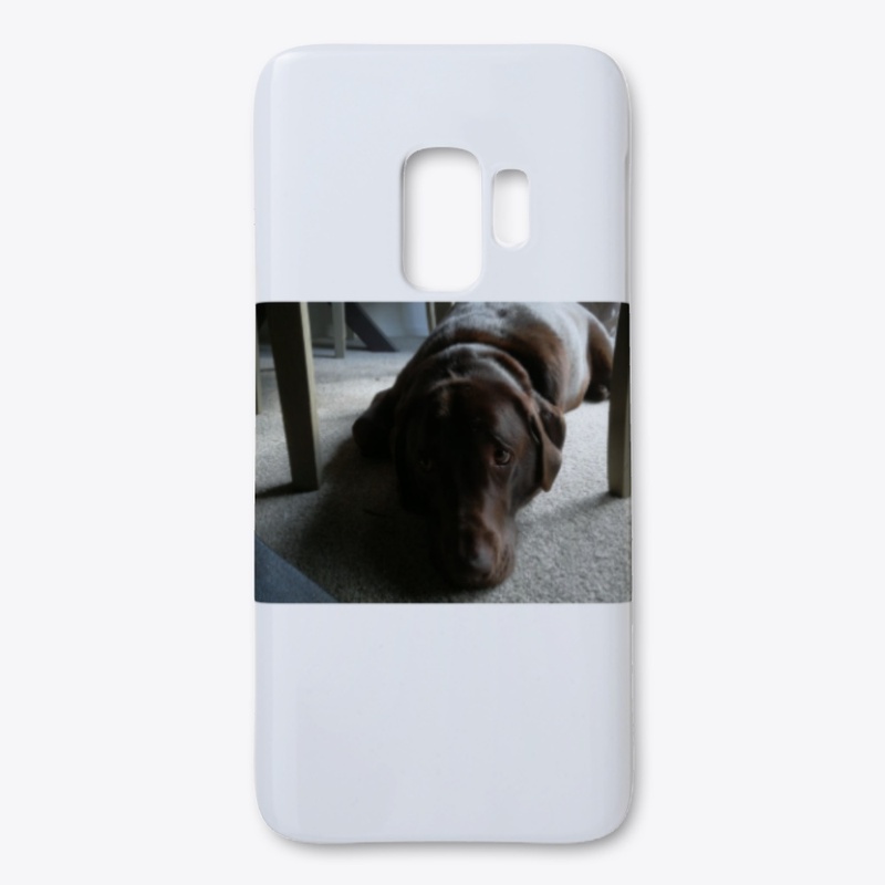 Labrador