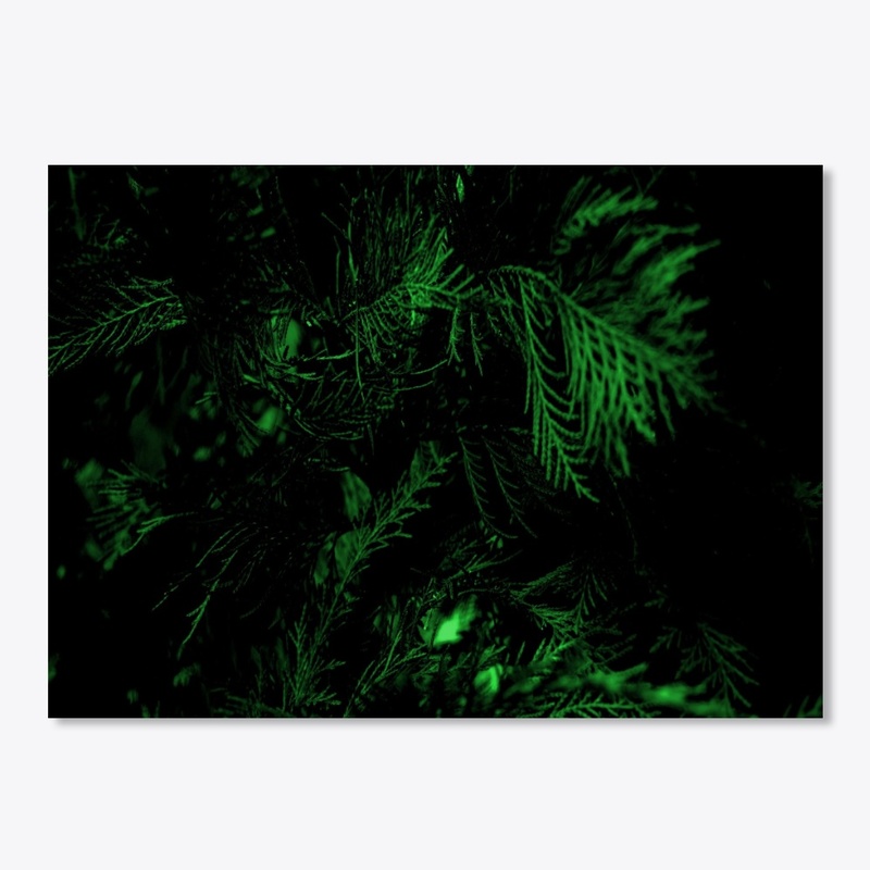 green cypress