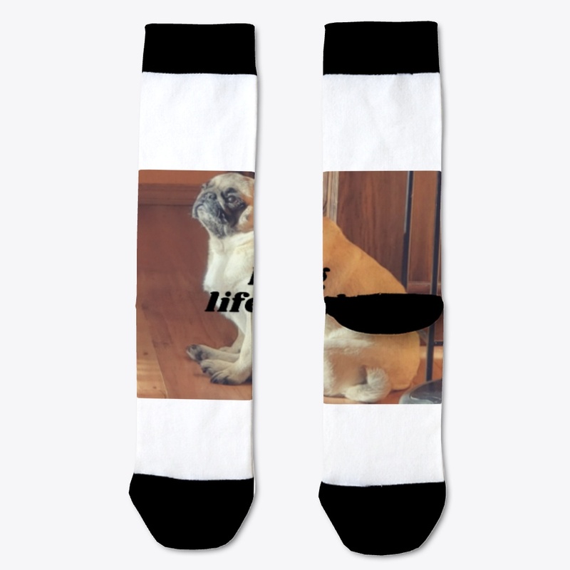 Pug lifestyle 