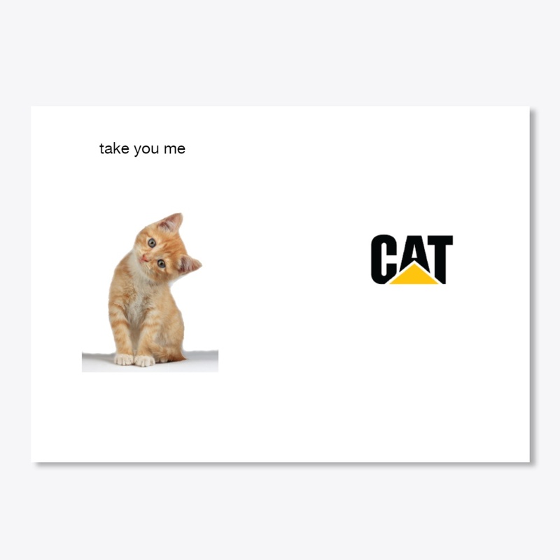 funny cat