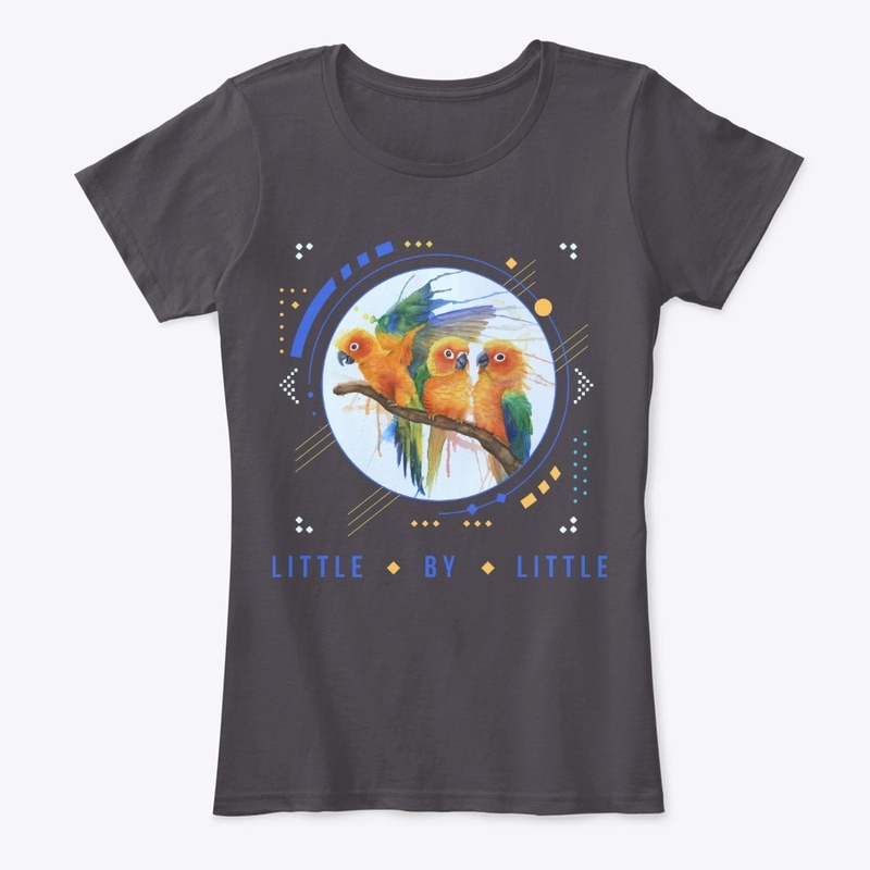 The Conures - "Little By Little"