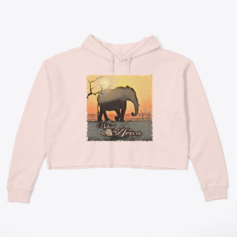 Elephant Plains Art HW1