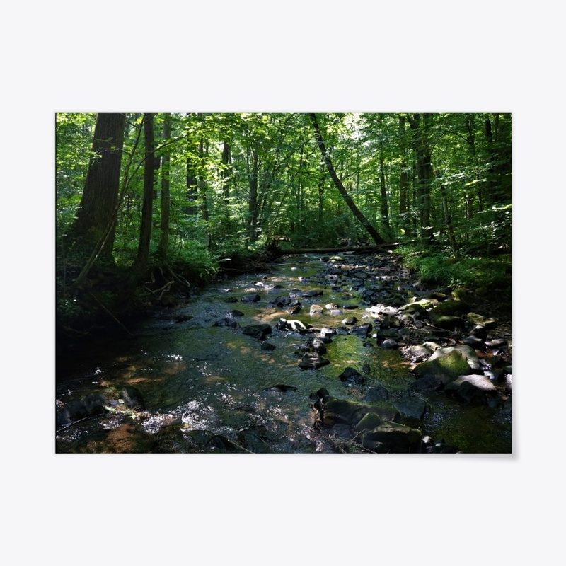Laurel 5