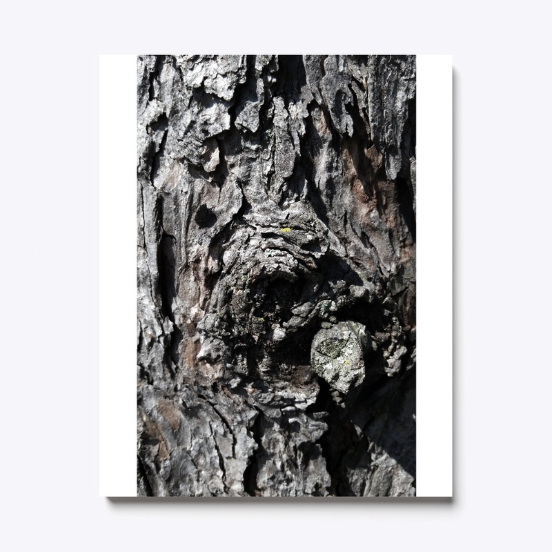 Tree Bark wonder