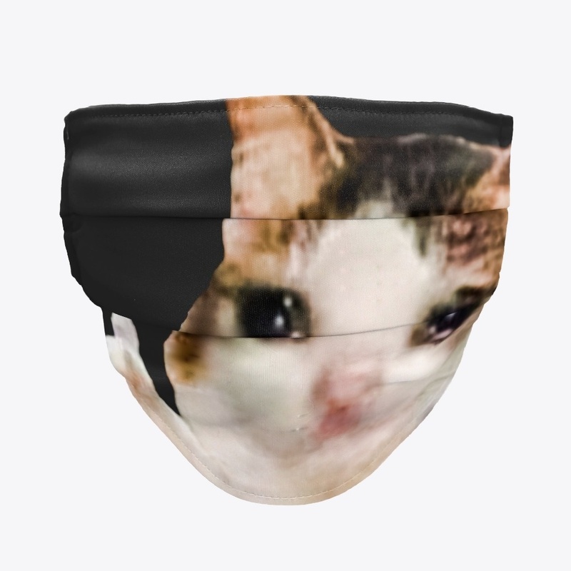 Ok cute cat