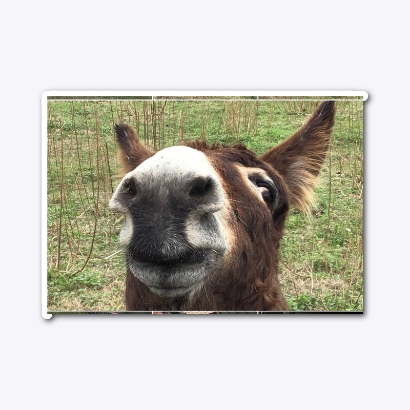Donkey Fever