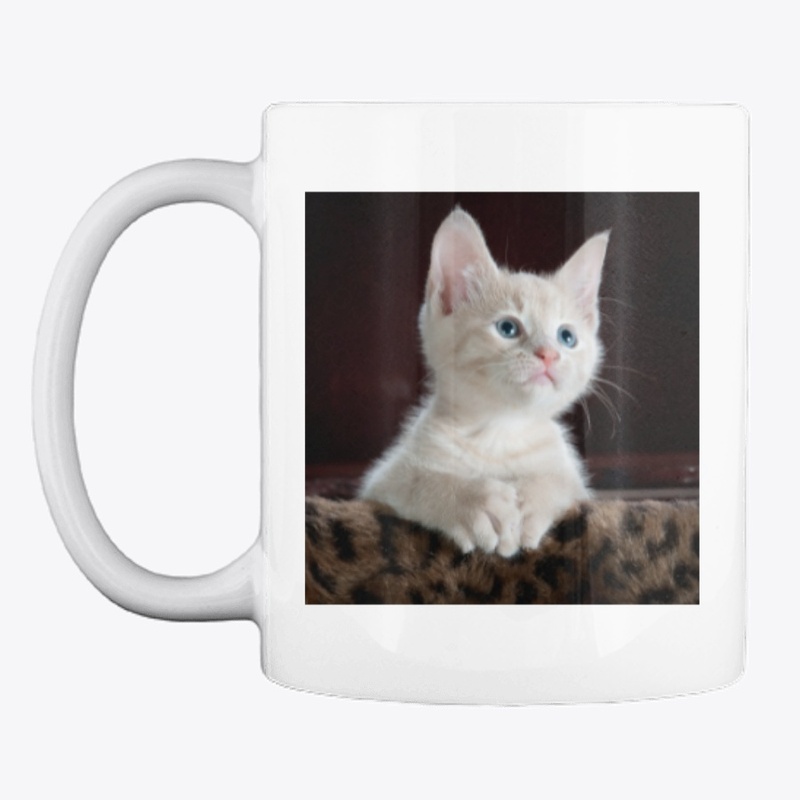 Funny cat printed products