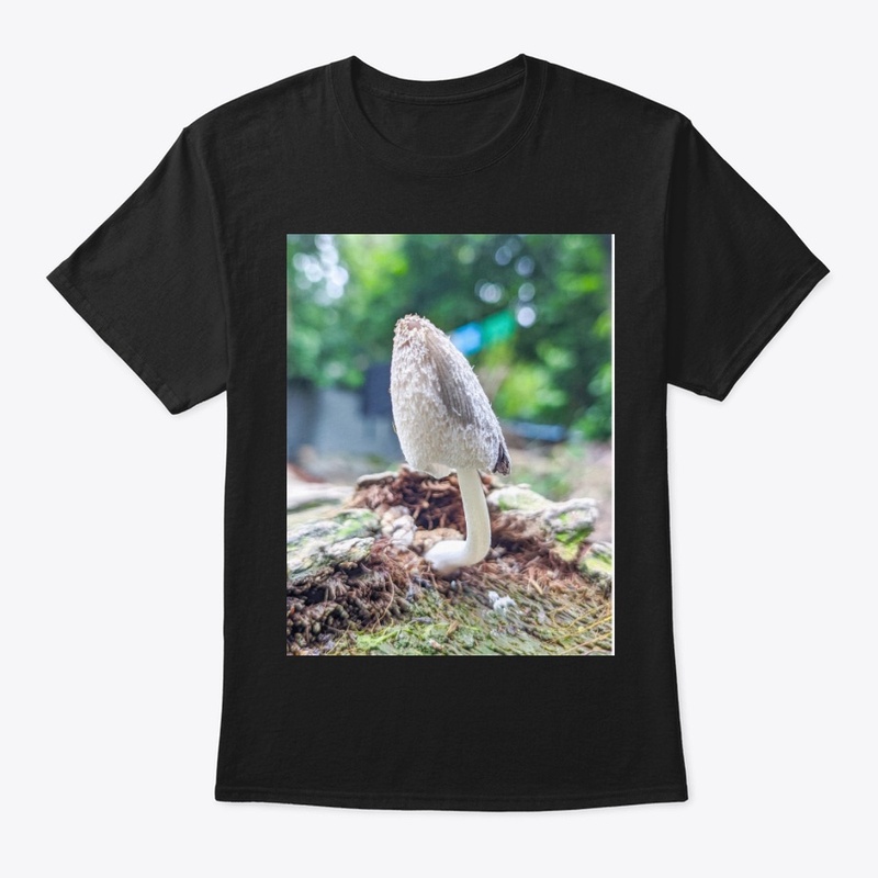 Comfort Colors  Tee price