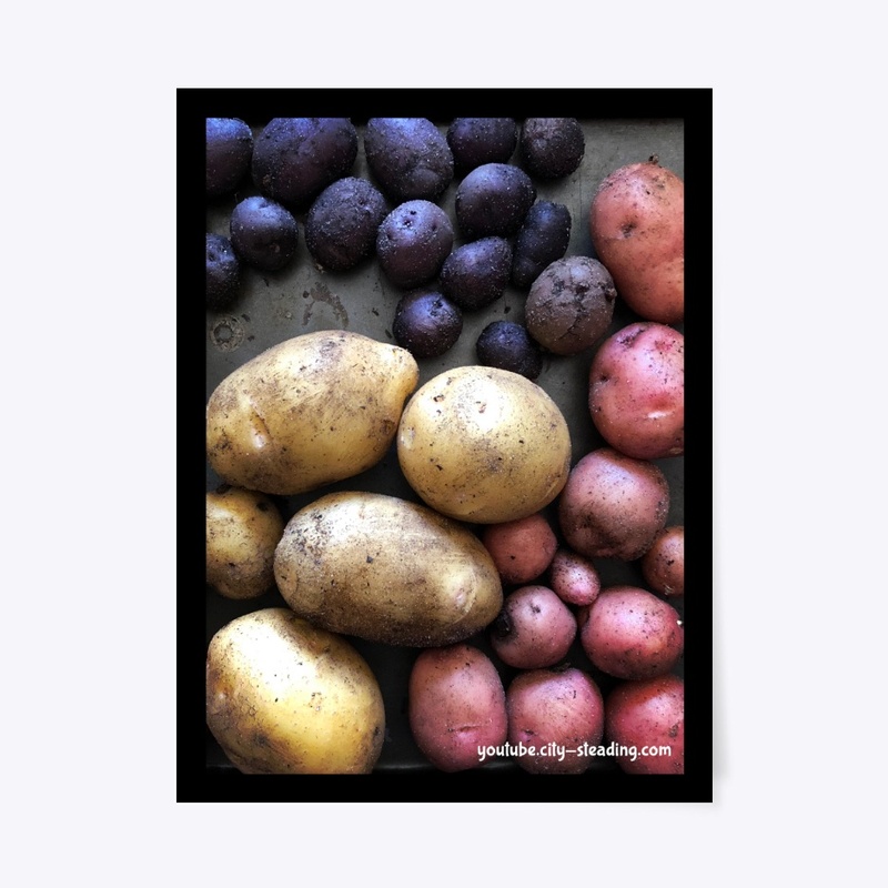 Potato Art City Steading