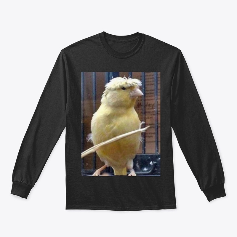 Birb w/ nice hair