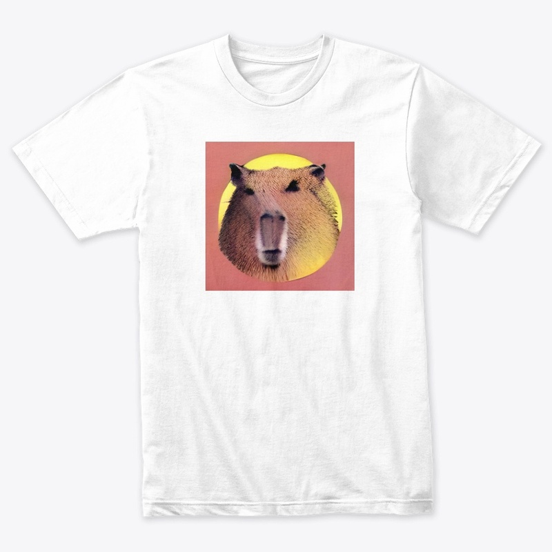 Capybara #29